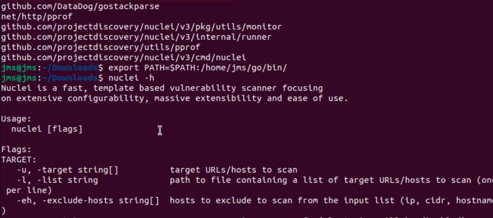 Check Nuclei installation